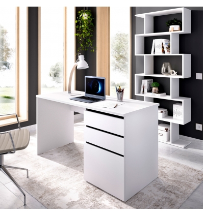 MESA ESCRITORIO CON 2 CAJONES Y PUERTA STILO